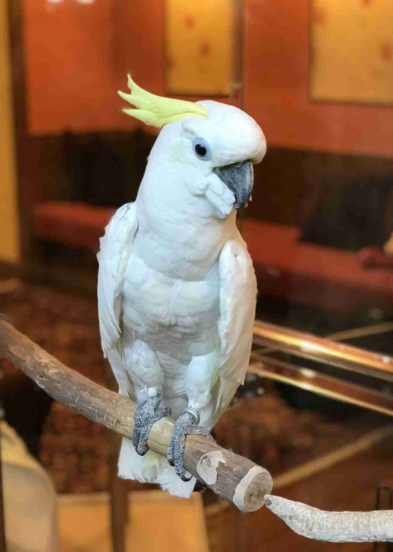 芸能人の性格が垣間見える画像