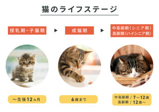 無神経な一言