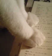 画像を貼るとブランドや商品名を教えてくれるトピ part3
