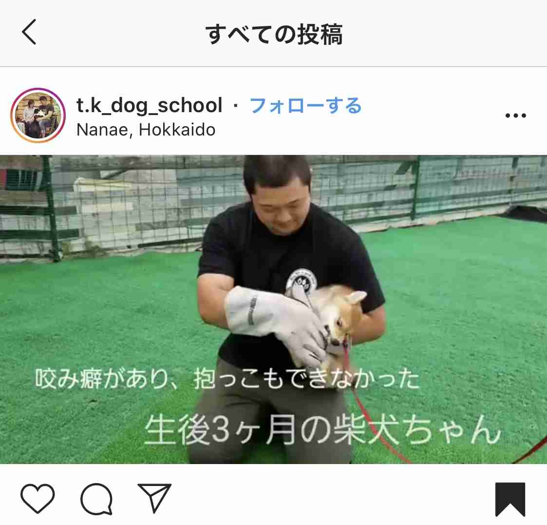 犬のしつけで一番効果があったのは?