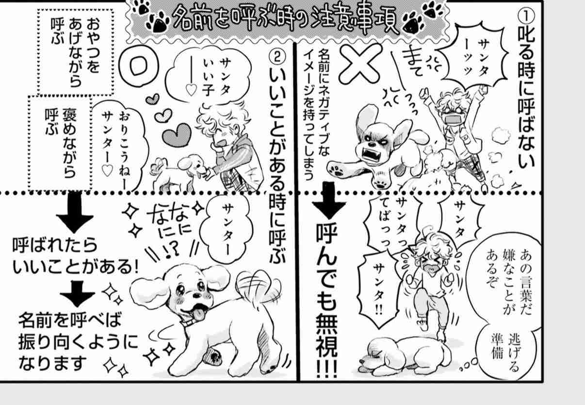 犬のしつけで一番効果があったのは?
