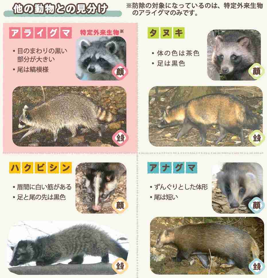 野生動物を語りたい!