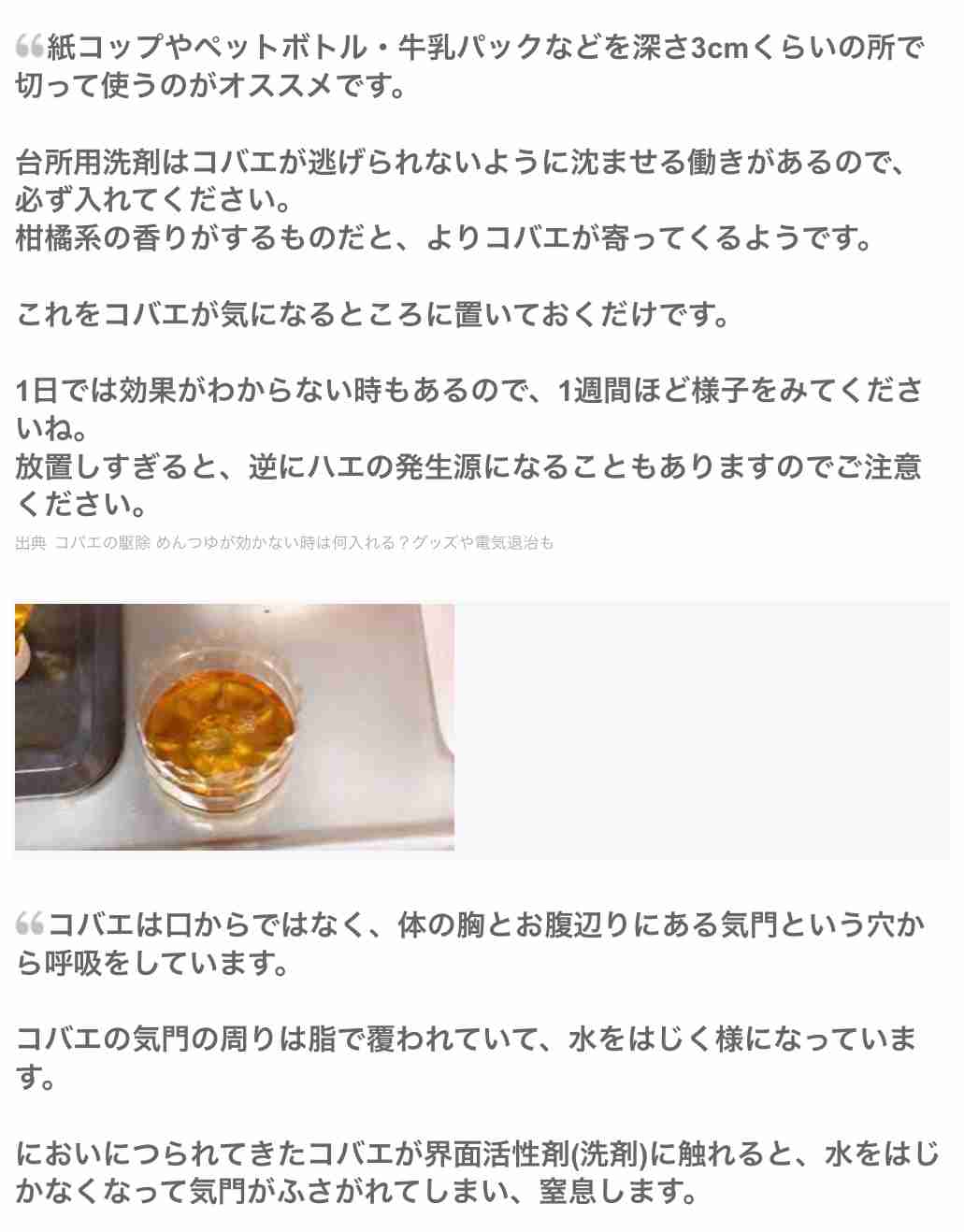コバエ対策