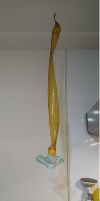 コバエ対策