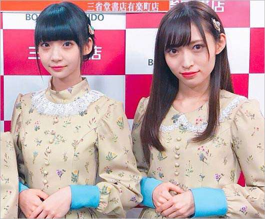 コラに見えるけどコラじゃない画像
