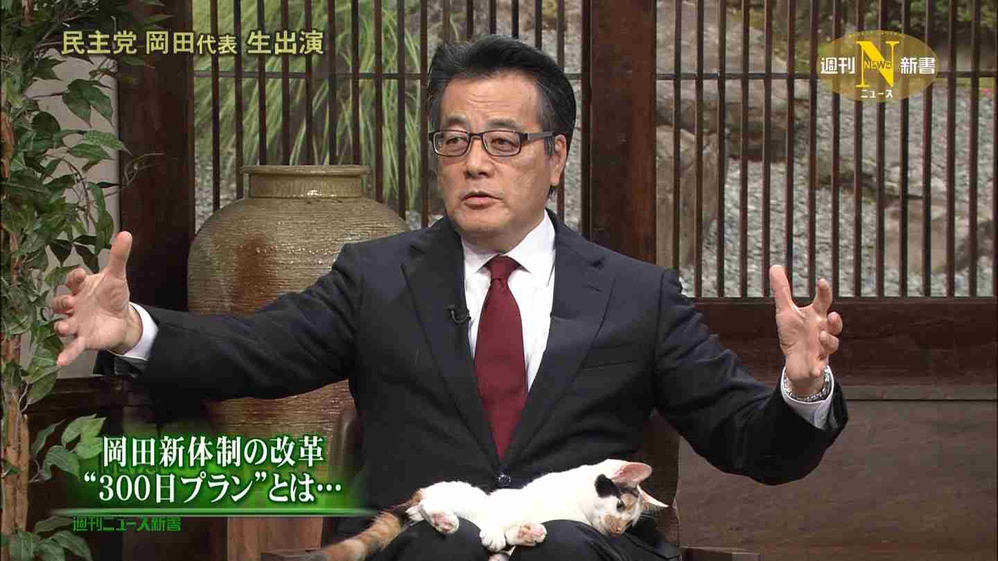 コラに見えるけどコラじゃない画像