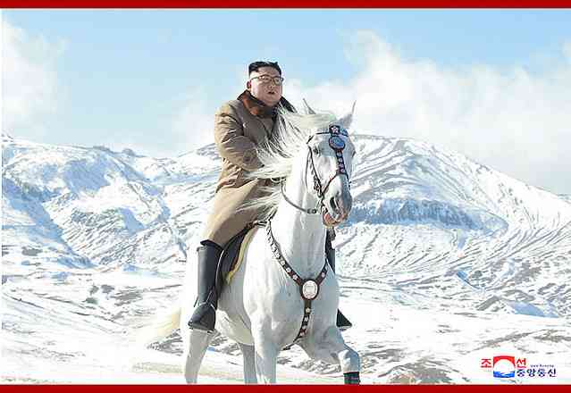 コラに見えるけどコラじゃない画像