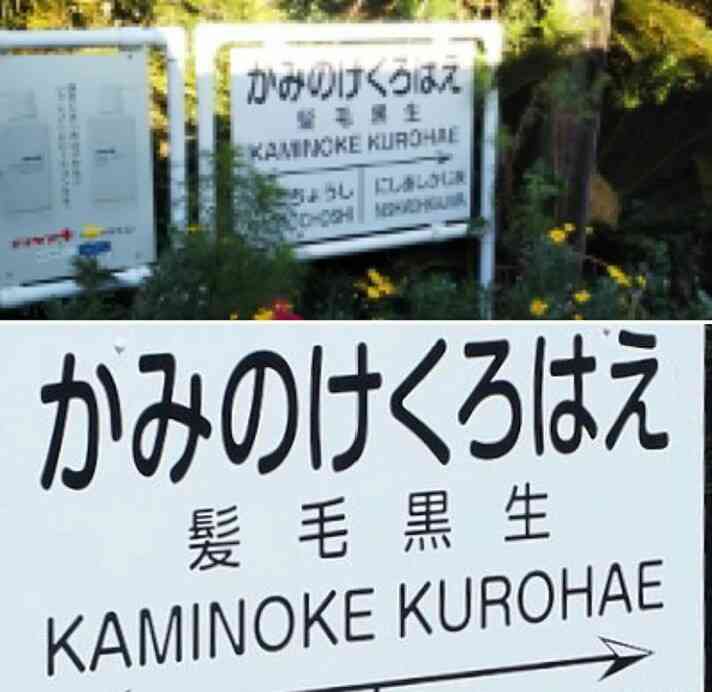 コラに見えるけどコラじゃない画像