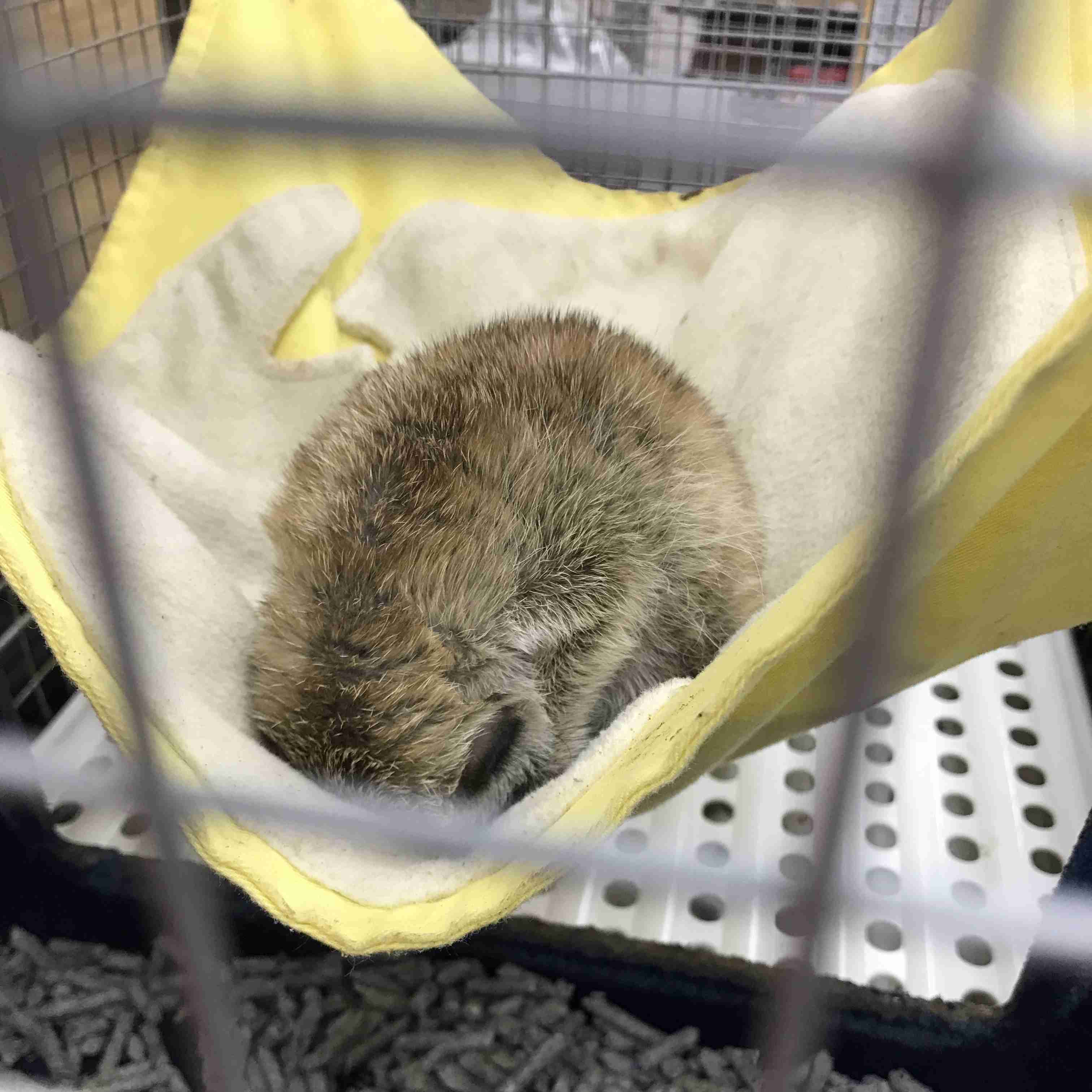 現状を、以上現場からでしたと報告してみるトピ