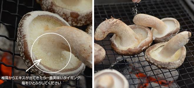 調味料は塩のみで出来るおいしい料理