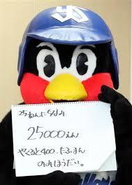 ヤクルト毎日飲んでる方調子はどうですか？