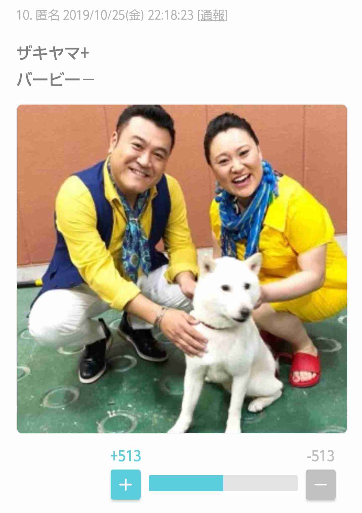 顔が似てる、キャラが被ってるなど比べられる2人のどちらが好きかプラマイするトピ
