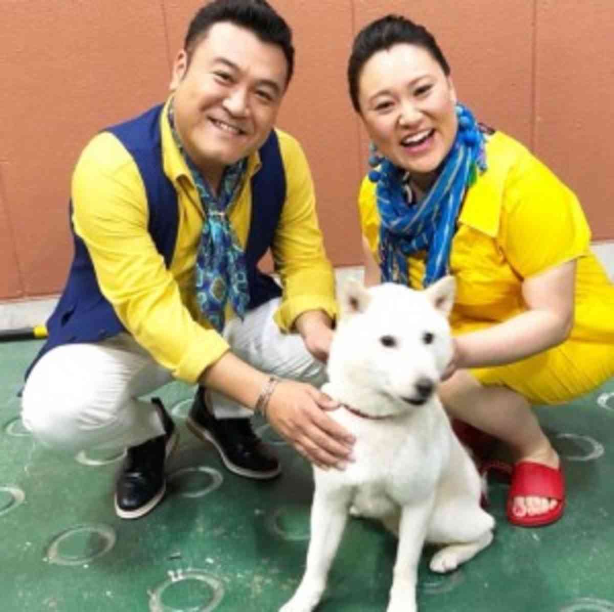 顔が似てる、キャラが被ってるなど比べられる2人のどちらが好きかプラマイするトピ