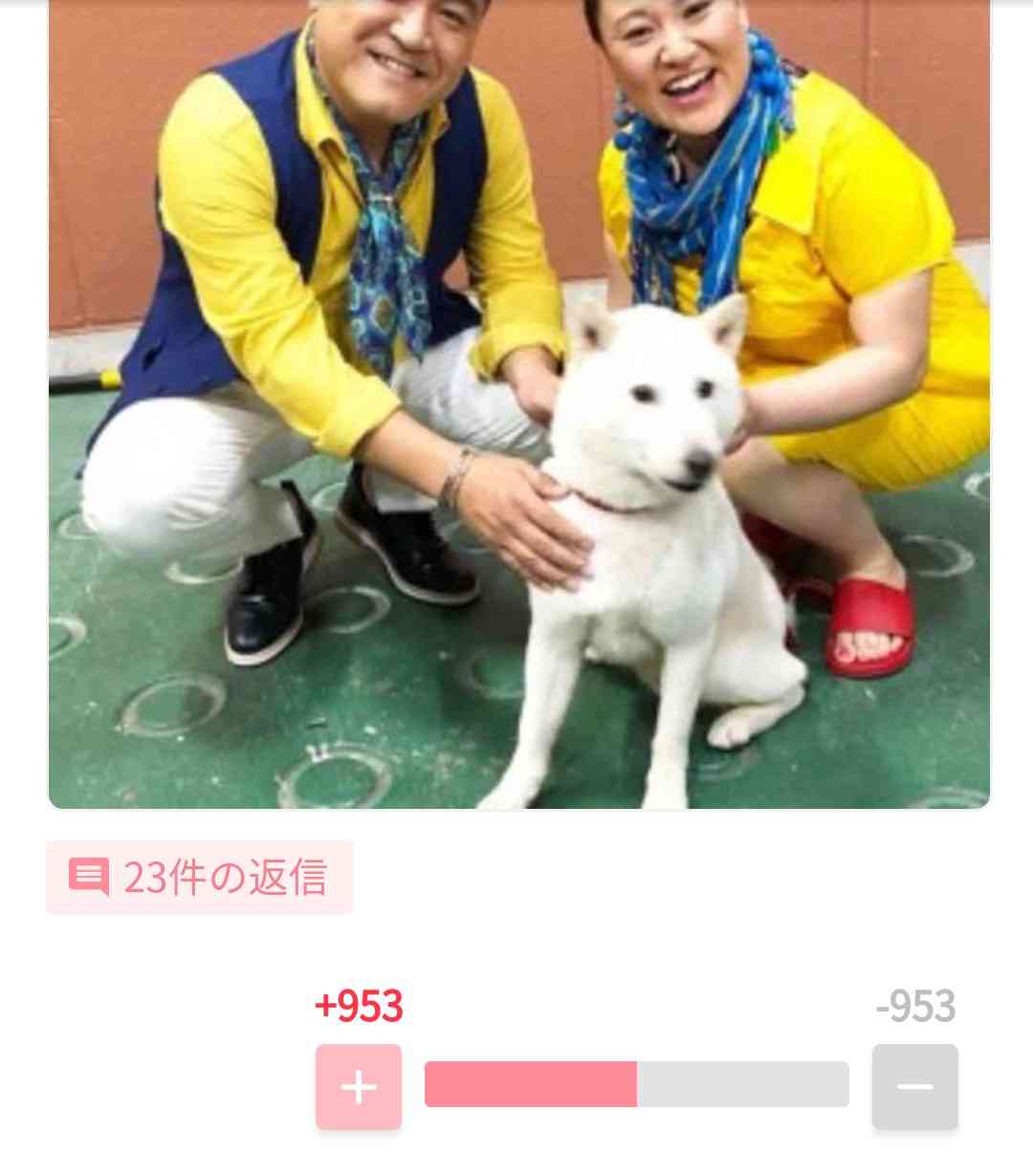 顔が似てる、キャラが被ってるなど比べられる2人のどちらが好きかプラマイするトピ