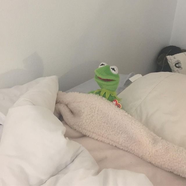 アラフォー独身の休日
