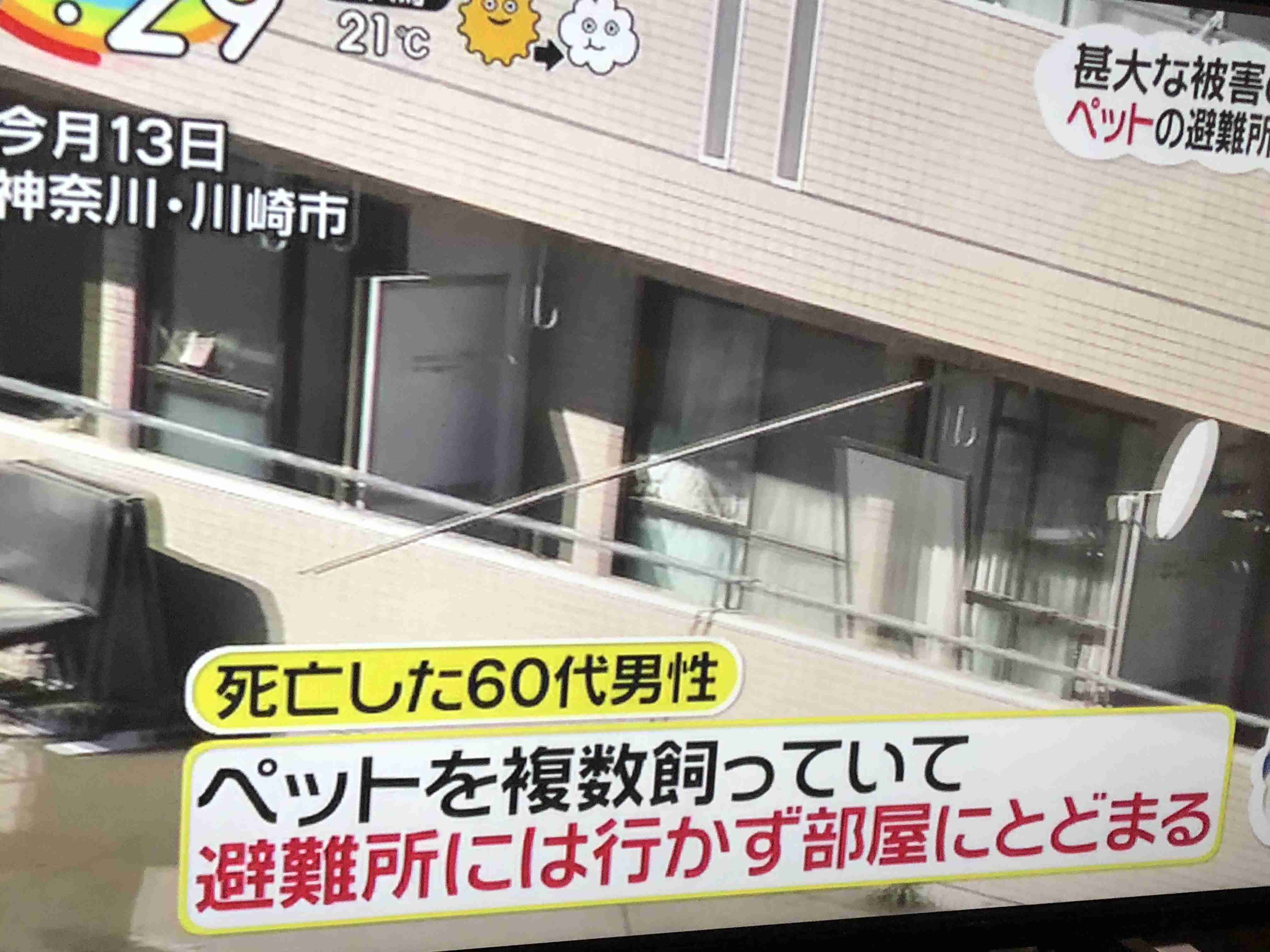 台風避難所「ペットNG」は「理解できない」 DaiGo「大切な家族」「ヒトも動物も関係ない」