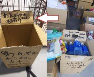 台風避難所「ペットNG」は「理解できない」 DaiGo「大切な家族」「ヒトも動物も関係ない」