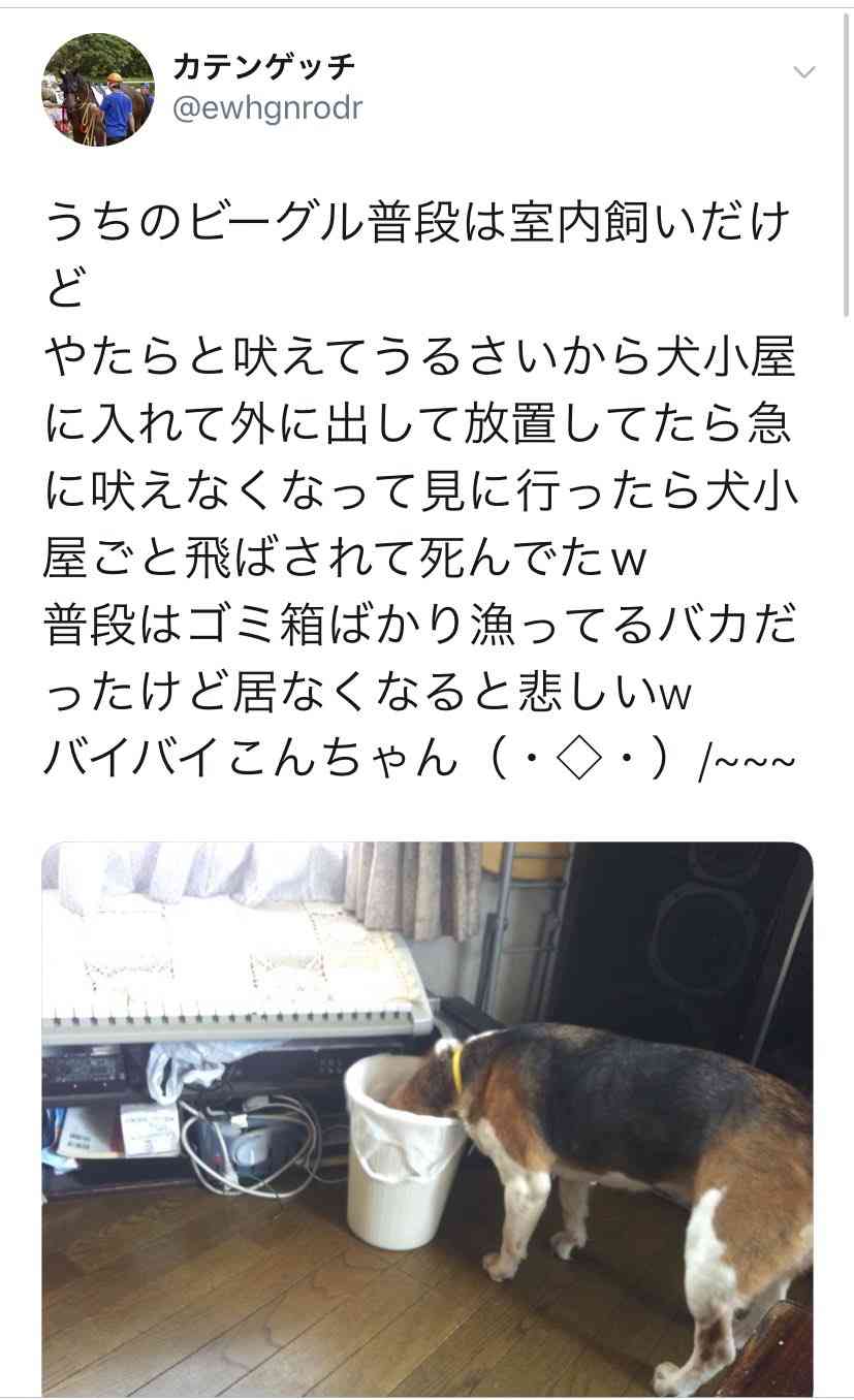 台風避難所「ペットNG」は「理解できない」  DaiGo「大切な家族」「ヒトも動物も関係ない」