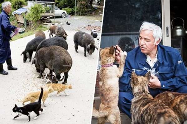 台風避難所「ペットNG」は「理解できない」  DaiGo「大切な家族」「ヒトも動物も関係ない」