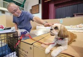 台風避難所「ペットNG」は「理解できない」 DaiGo「大切な家族」「ヒトも動物も関係ない」