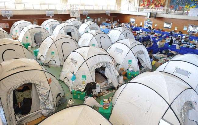 台風避難所「ペットNG」は「理解できない」  DaiGo「大切な家族」「ヒトも動物も関係ない」