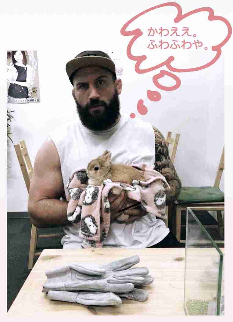 海外の有名人やスポーツ選手が日本を満喫している姿が見たい！！