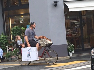 海外の有名人やスポーツ選手が日本を満喫している姿が見たい！！