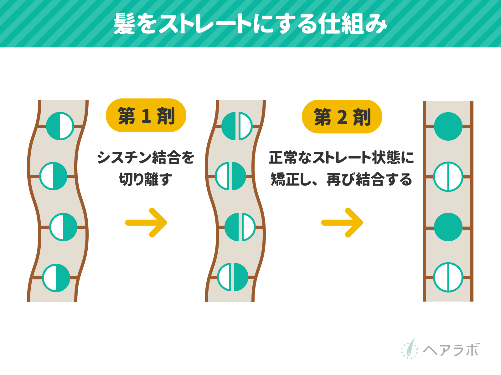 癖毛の人🙋悩みを語ろう