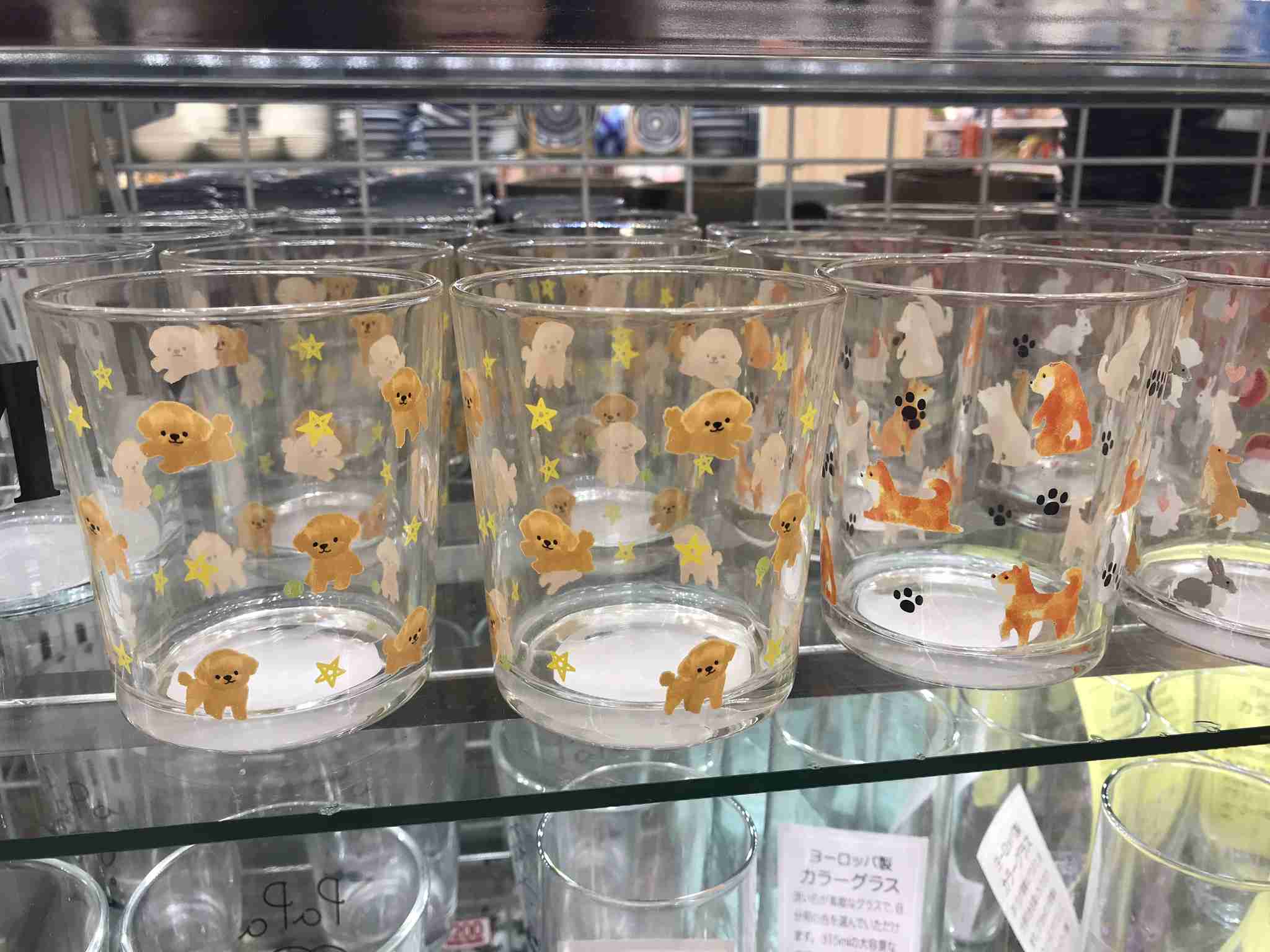 100均の皿やコップに抵抗ありますか？