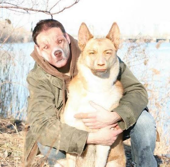 アーモンド形の目を持つ「人間のような顔」をした犬がSNSで人気に（米）