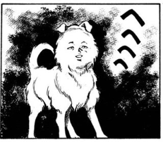 アーモンド形の目を持つ「人間のような顔」をした犬がSNSで人気に（米）