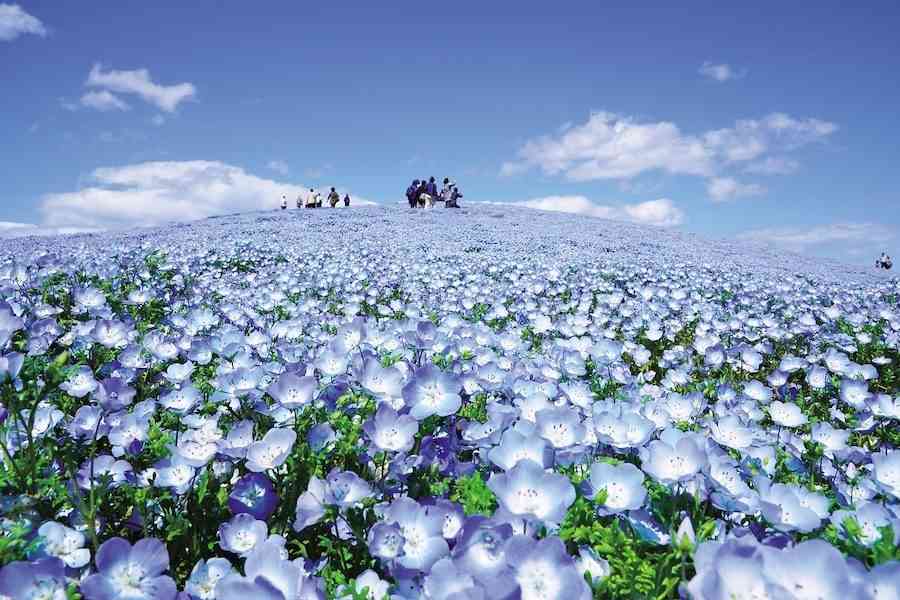 都道府県魅力度ランキング2019発表！1位は北海道、茨城県は7年連続で最下位に