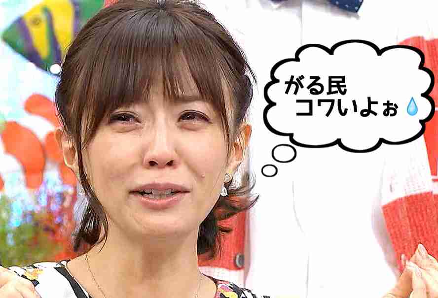 山梨小1女児不明、大規模な捜索を打ち切り　延べ1700人の捜索活動も実らず「従事した者一同、心を痛めている」