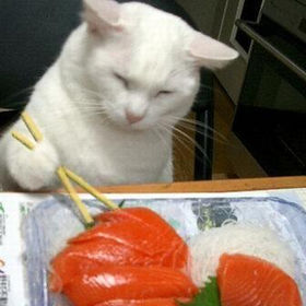 何が食べたい？　7割以上がメニューのリクエスト「ありがたい」