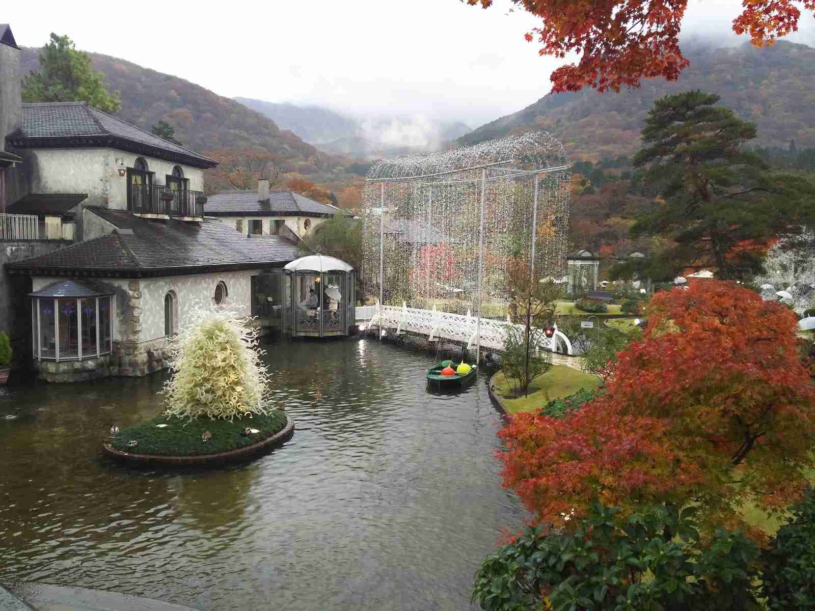 【画像】いろいろな紅葉(こうよう)の集まるトピ