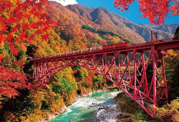 【画像】いろいろな紅葉(こうよう)の集まるトピ