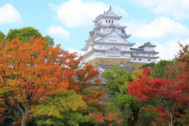 【画像】いろいろな紅葉(こうよう)の集まるトピ