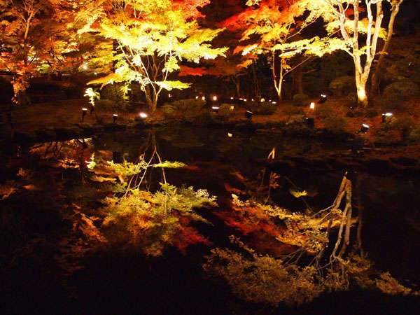 【画像】いろいろな紅葉(こうよう)の集まるトピ