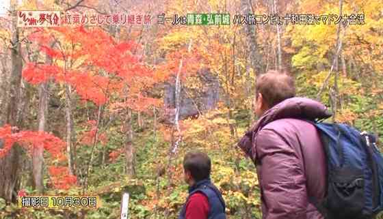【画像】いろいろな紅葉(こうよう)の集まるトピ