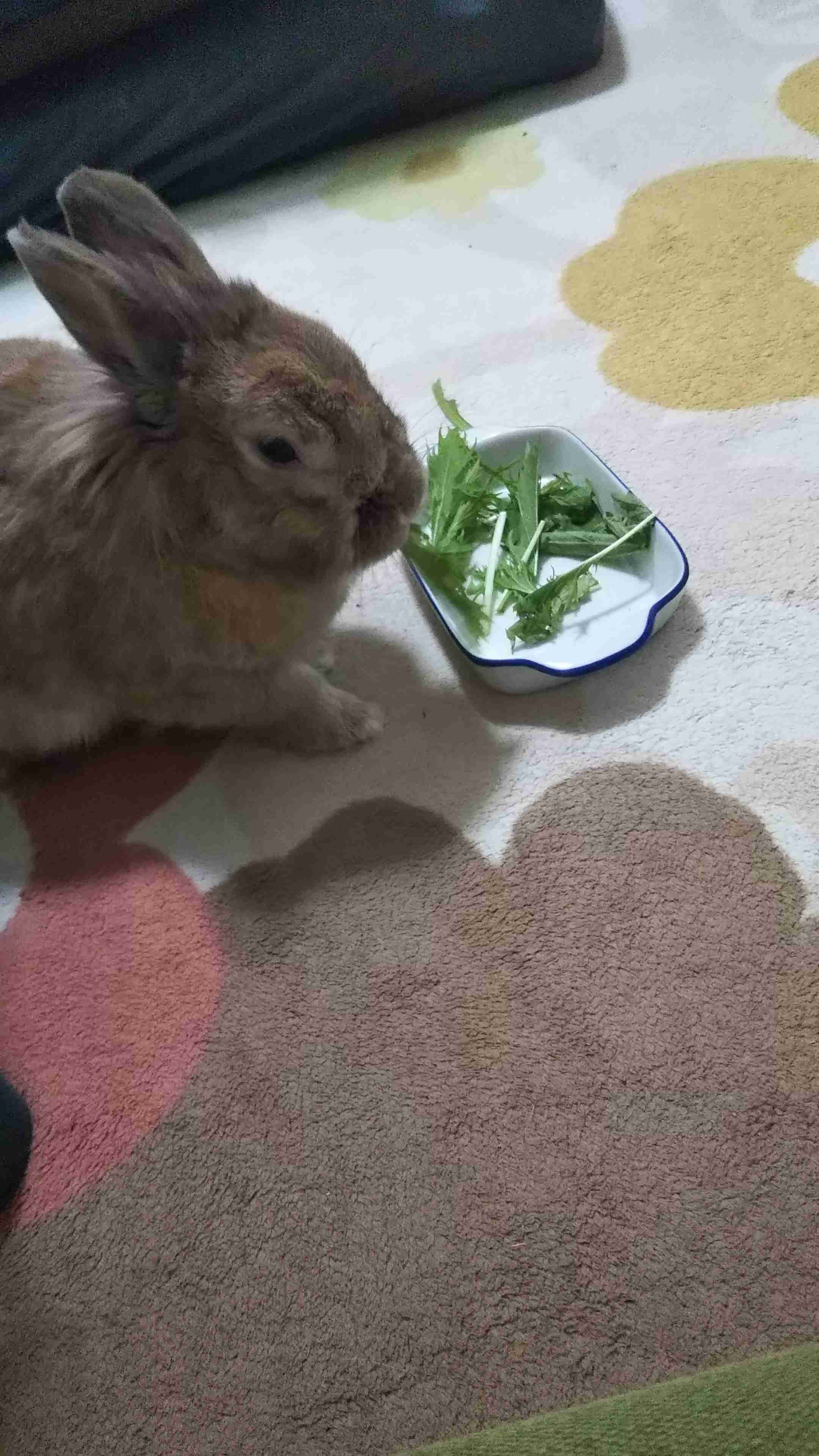 【台風】千葉県民集合【情報交換】