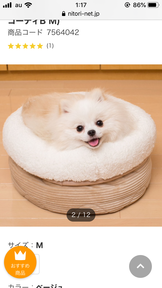 ペットの冬用ベッドについて