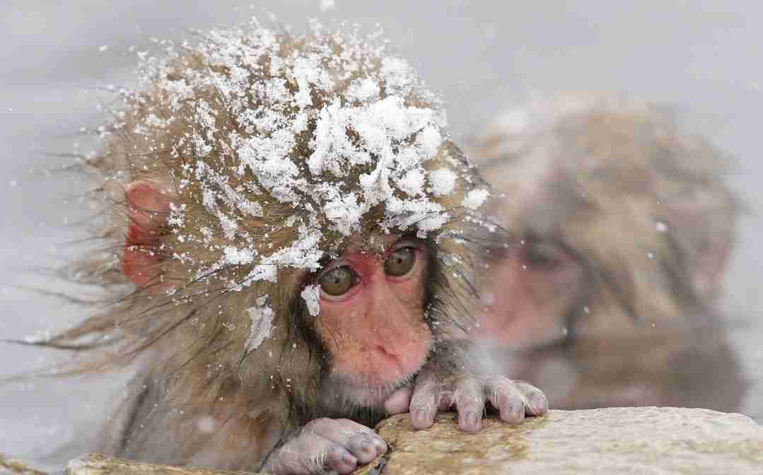 11/26 いいお風呂の日