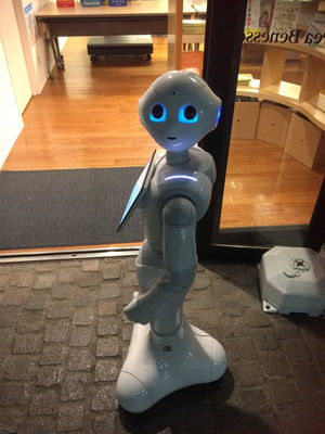 人は例え相手がロボットでも侮辱されると腹が立つし傷つくことが判明
