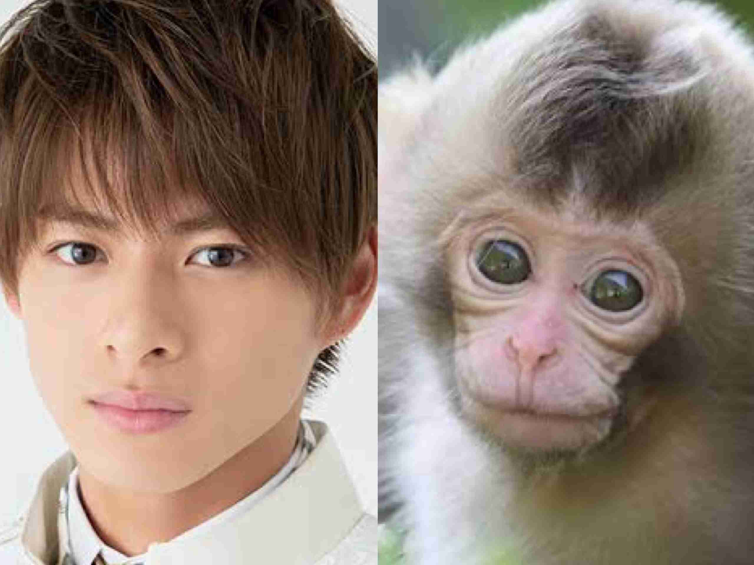 [アンチ厳禁]King & Prince好きな人！