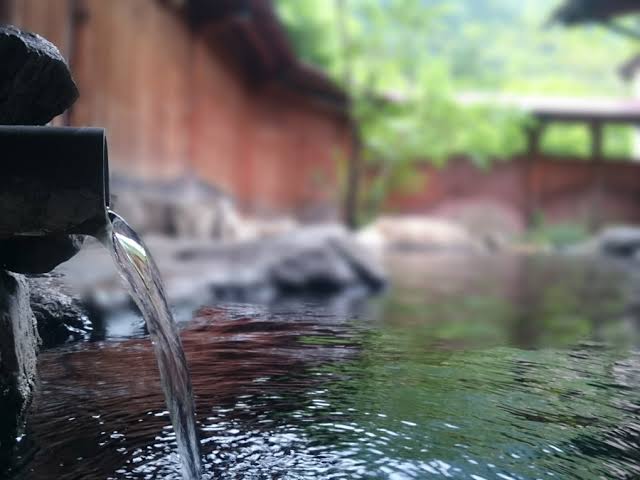 心がウキウキするような画像【楽しい、面白い、幸せ】