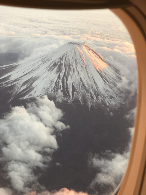 心がウキウキするような画像【楽しい、面白い、幸せ】