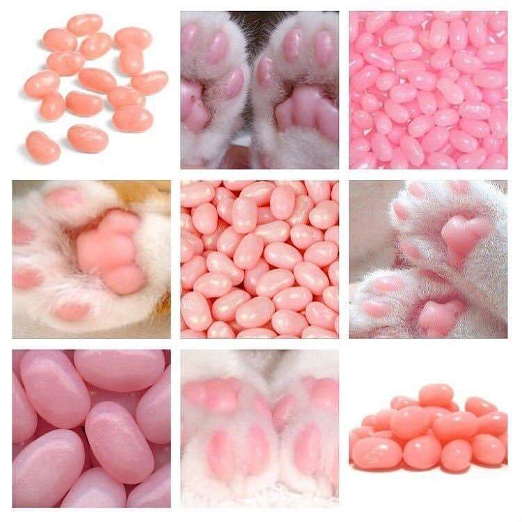 心がウキウキするような画像【楽しい、面白い、幸せ】