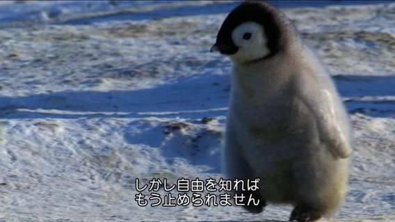 心がウキウキするような画像【楽しい、面白い、幸せ】