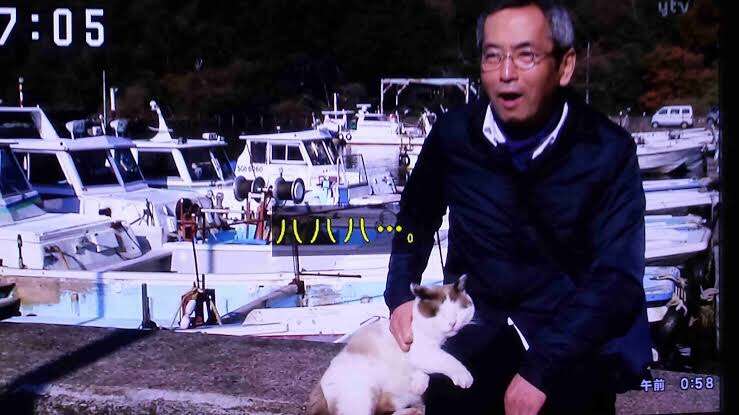 心がウキウキするような画像【楽しい、面白い、幸せ】