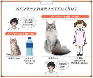 飼ってみたいペットを書くと、飼ってる人がアドバイスしてくれるトピ